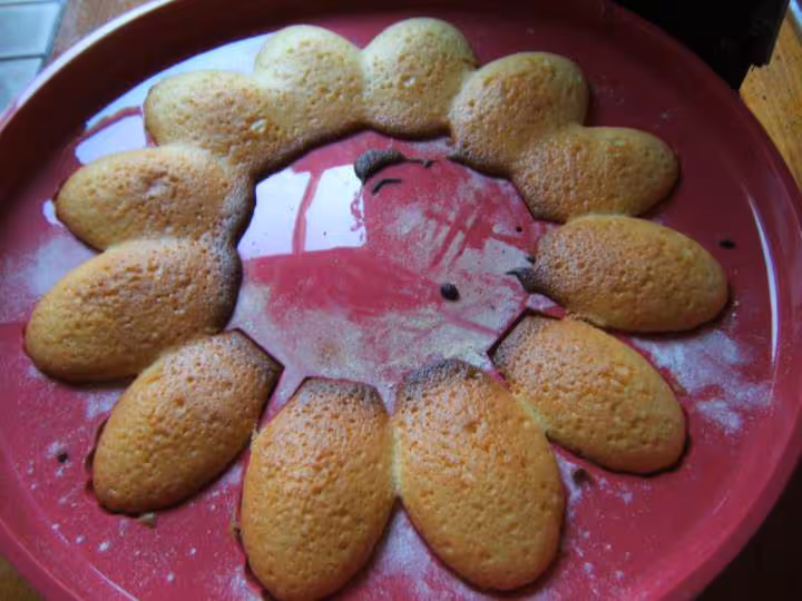 Madeleines