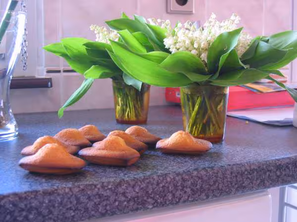 Madeleines a l eau de fleur d oranger