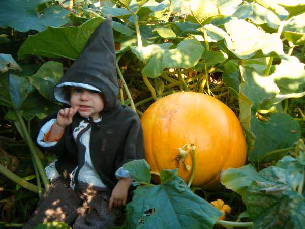 Happy halloween