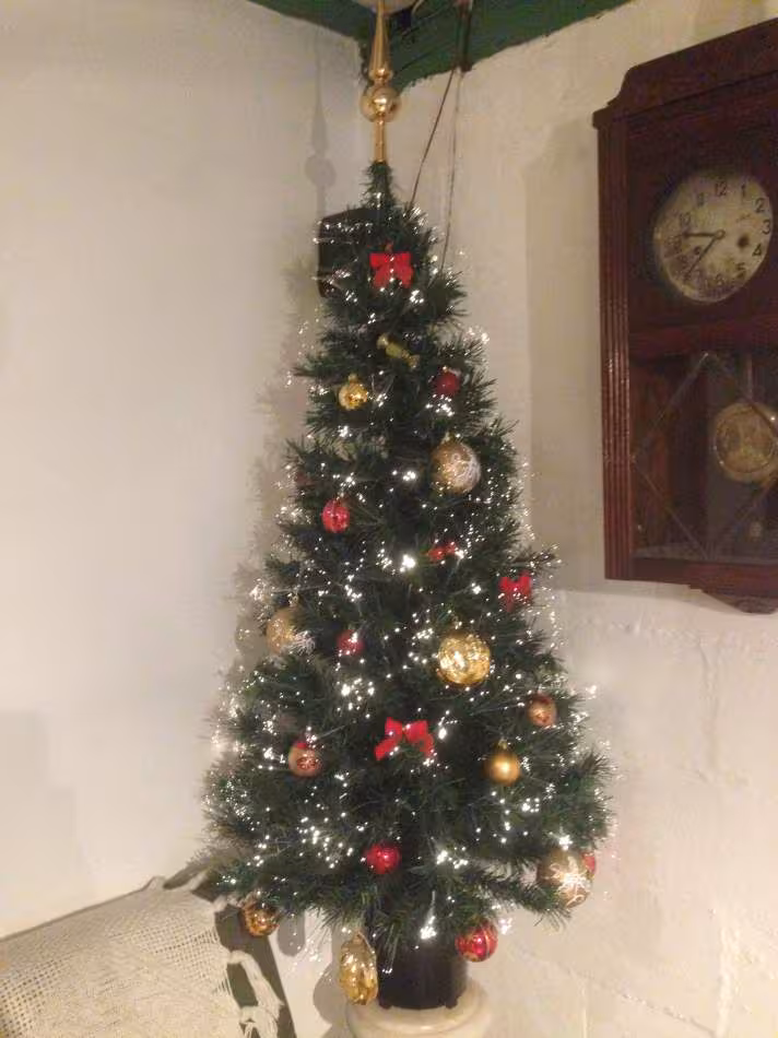 Sapin 2013