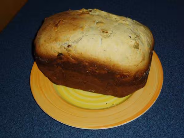 Mon premier panettone1