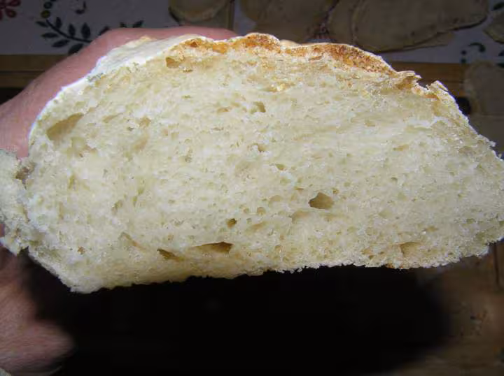 2eme tentative pour croute doree