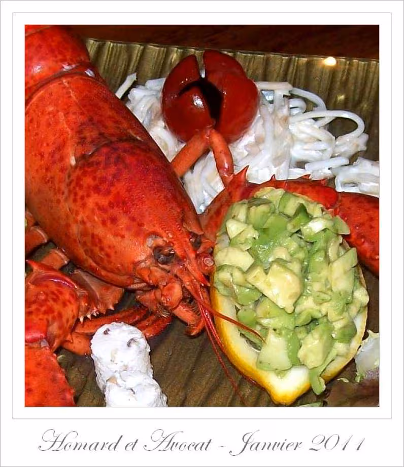 Avocat et homard