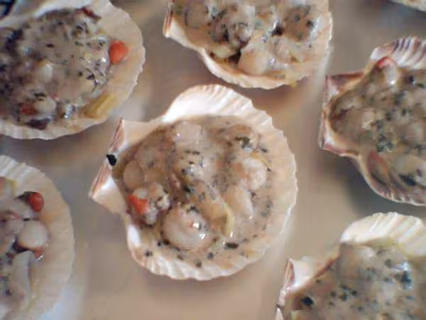 Coquilles st jacques