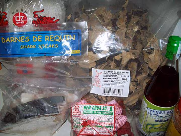 Darnes de requin