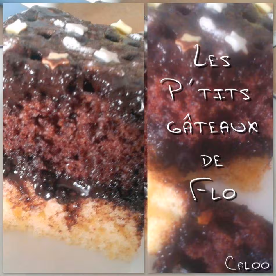 Gateau bicolore aux graines de sesame grillees de ma fille flo