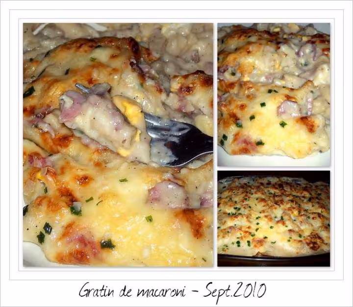 Gratin de macaroni