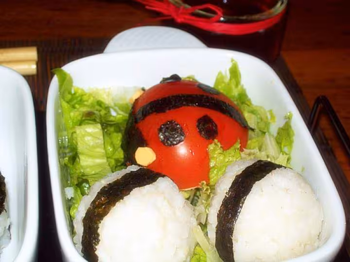 La coccinelle