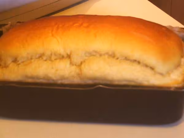 Pain viennois