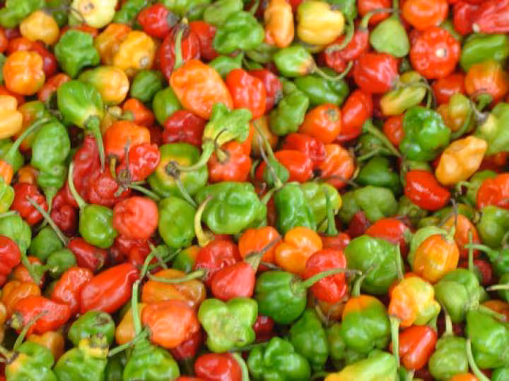 Piments