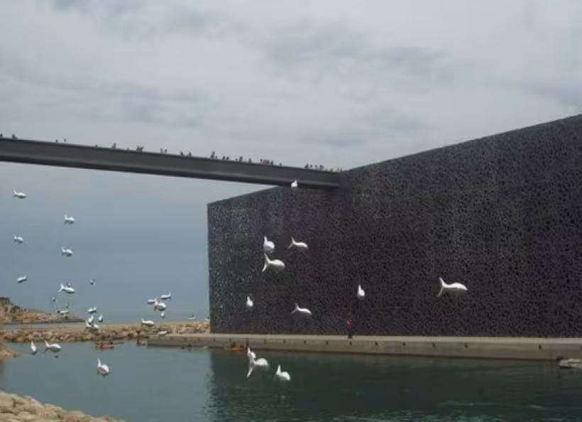 Poissons volants
