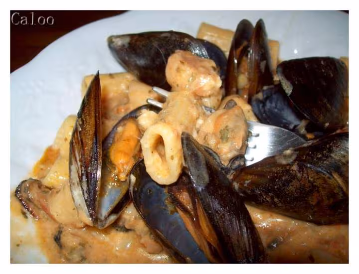 Rigatoni aux moules