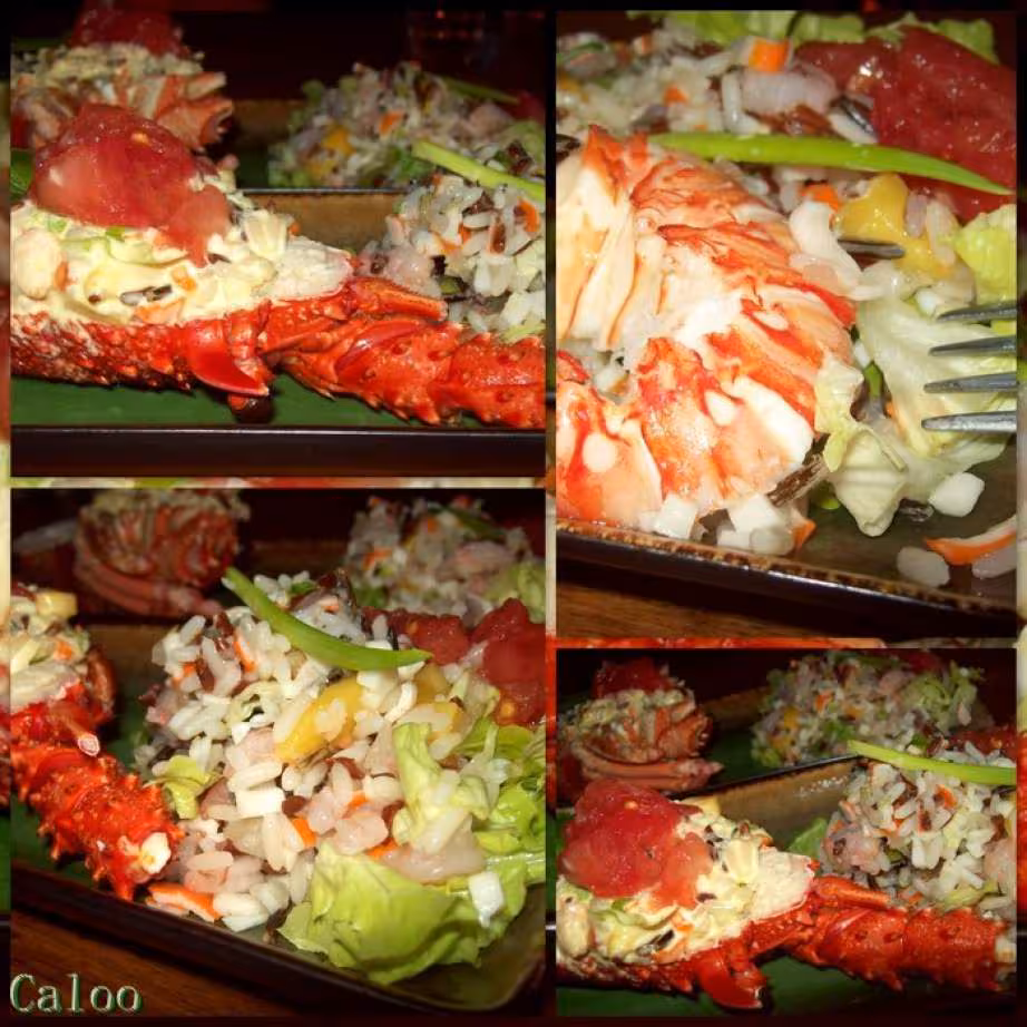 Salade aux 3 riz et a la mangue et langouste