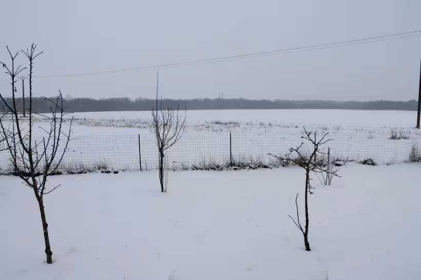 Jardin enneige