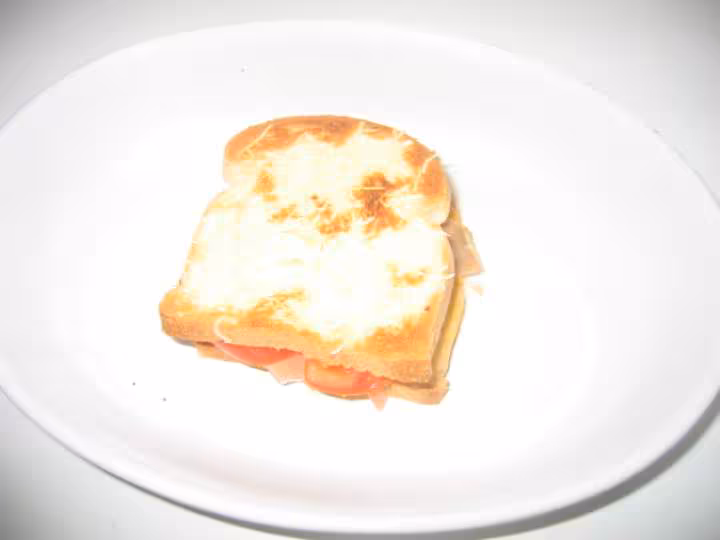 Croque monsieur au saumon ww