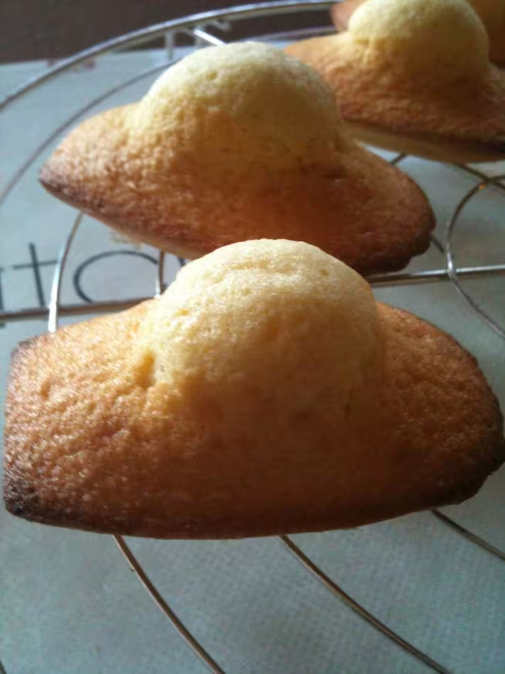 Madeleines