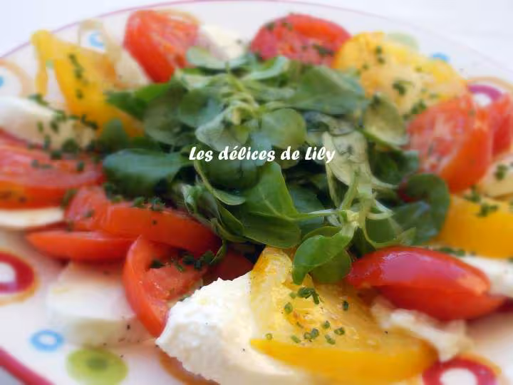 Rosace de tomates au basilic