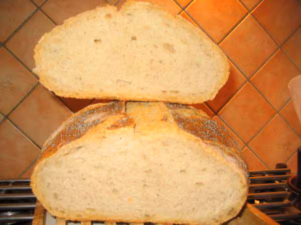 Mie de pain campagnard
