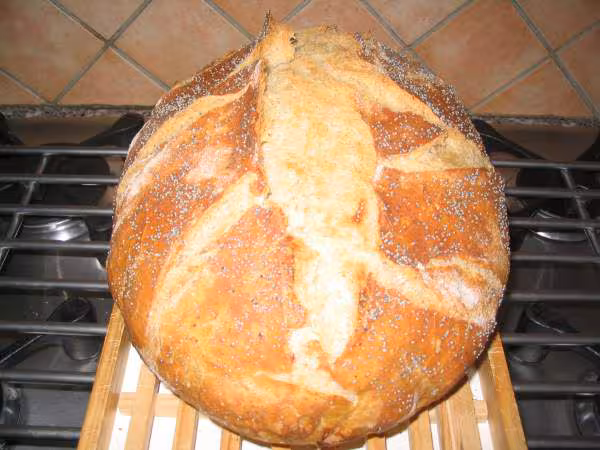 Pain campagnard recette de polange