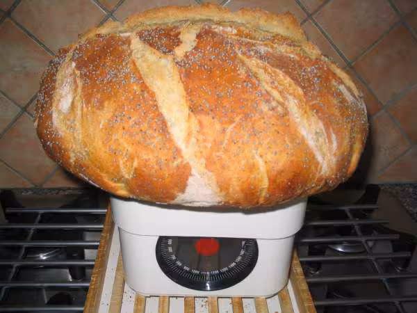Pain campagnard recette de polange methode miche en cocotte