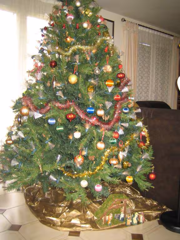 Sapin 2005