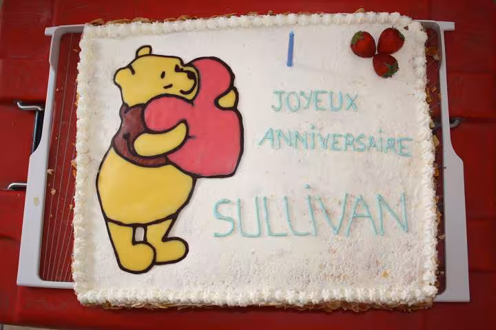 Fraisier winnie