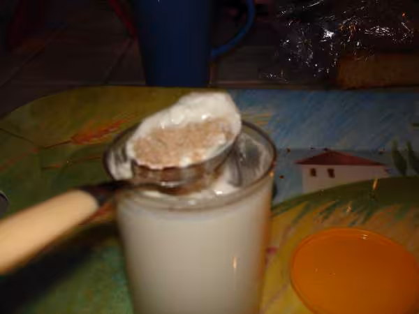 Yaourt aux speculoos