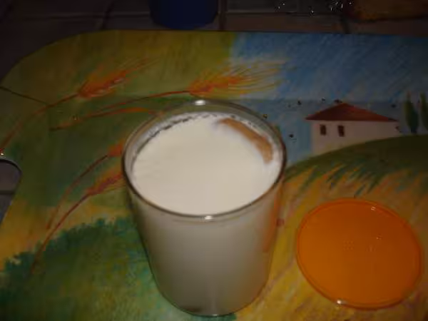Yaourts aux speculoos