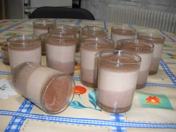 Mes yaourts aux chocolat