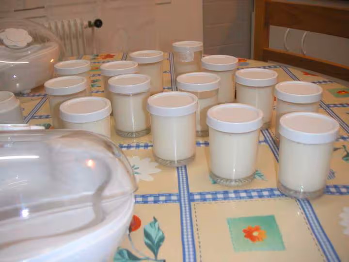 Yaourt maison recette simple a faire