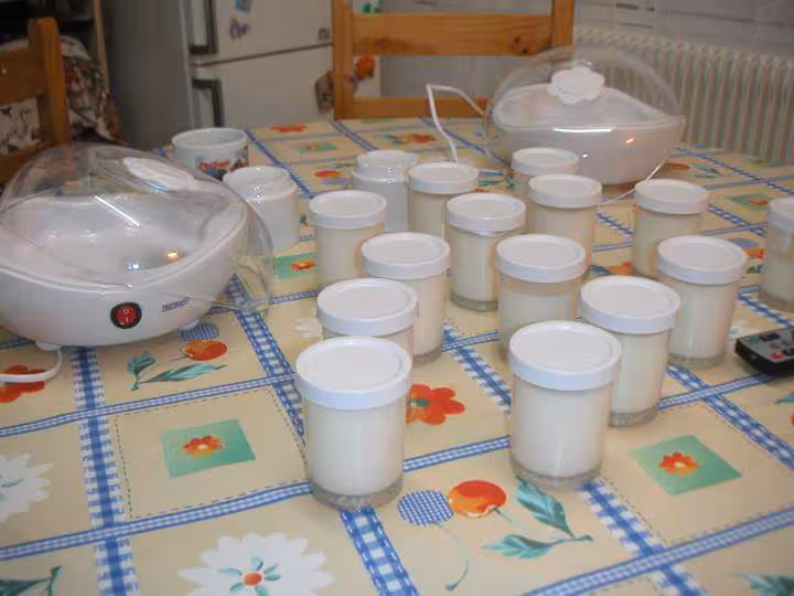 Yaourts maison 2