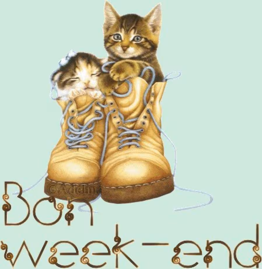 Bon week end