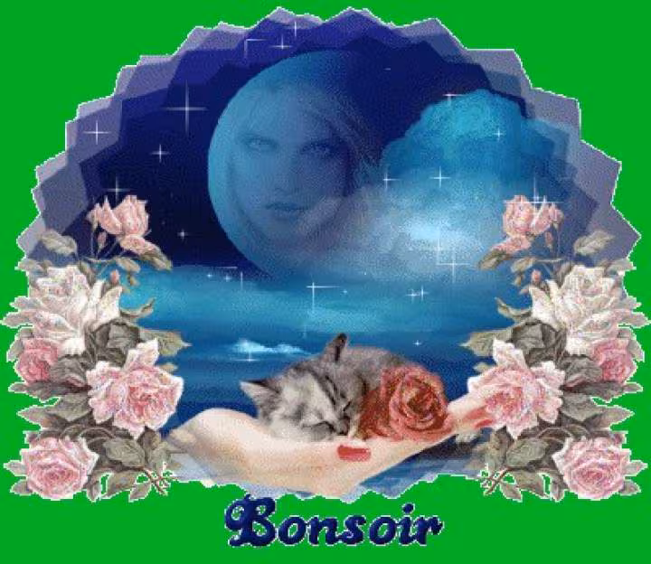 Bonsoir