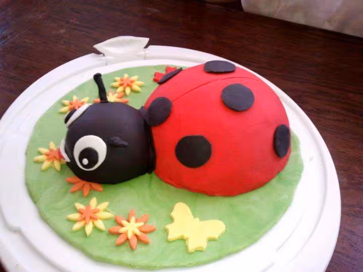 Gateau coccinelle