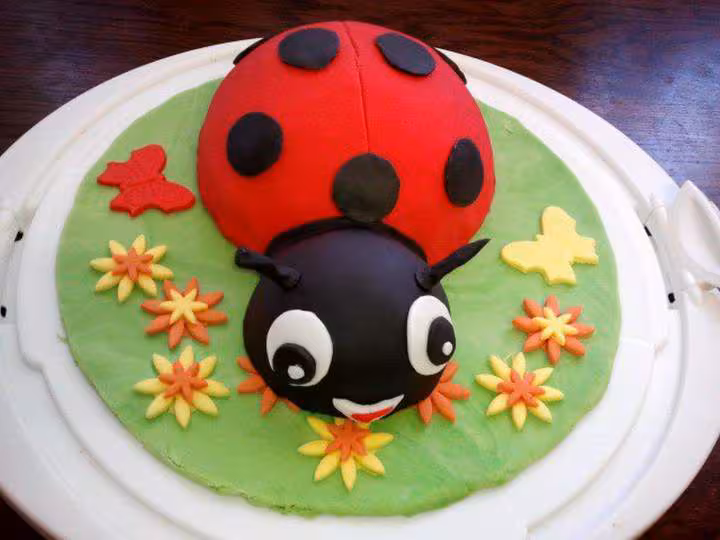Gateau coccinelle