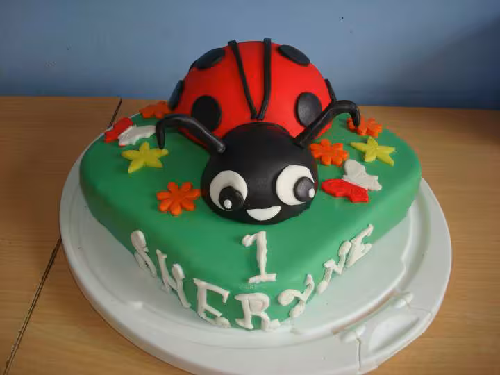Gateau coccinelle