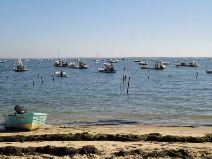 Bassin arcachon