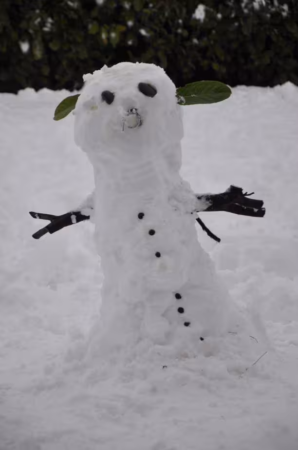 Bonhomme de neige