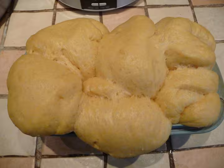 Brioche levee avant cuisson