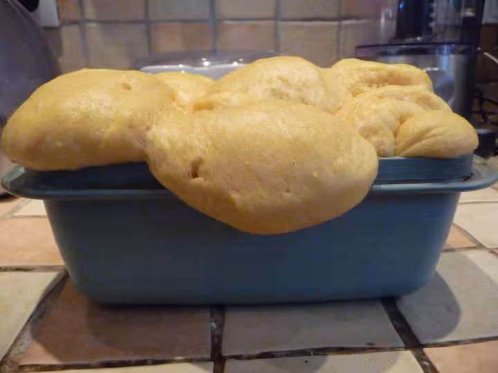 Brioche levee avant cuisson