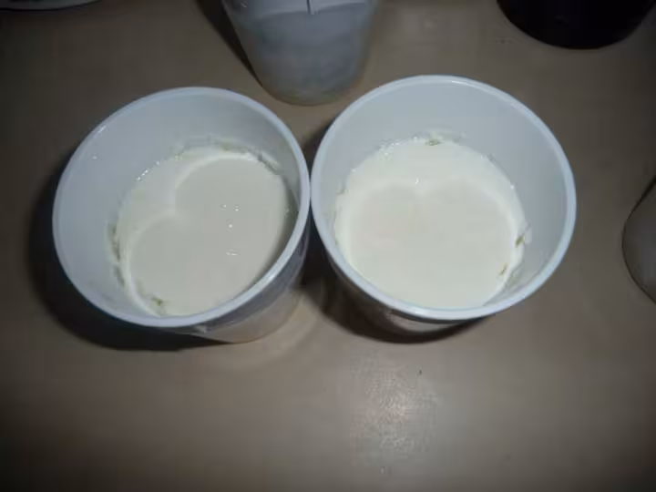 Faisselles avec petit lait aux graines de kefir