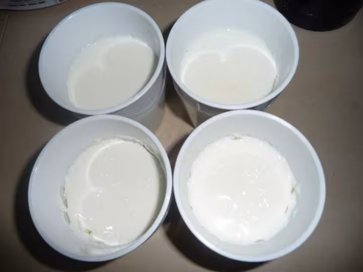 Faisselles avec petit lait aux graines de kefir