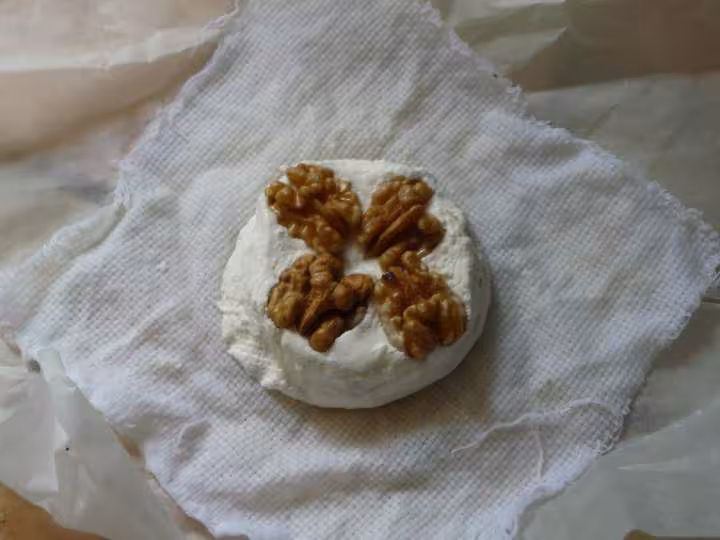Fromage au lait de chevre avec des noix