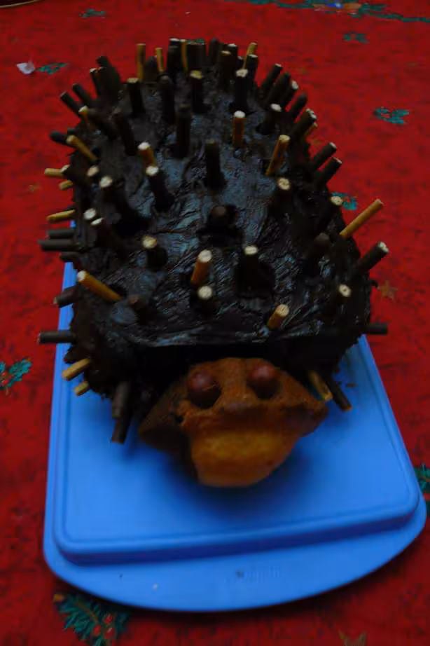 Gateau herisson