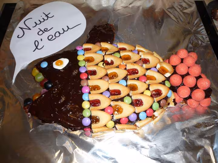 Gateau poisson nuit de l eau
