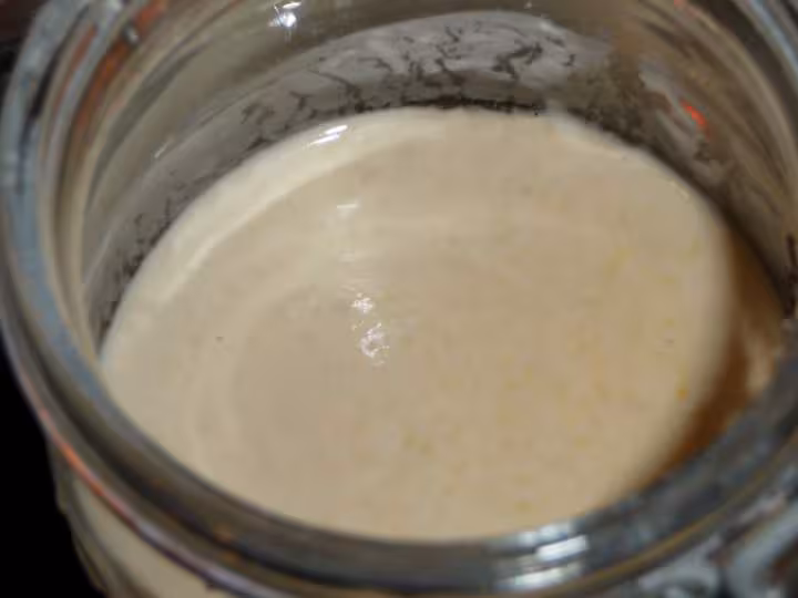 Mon levain