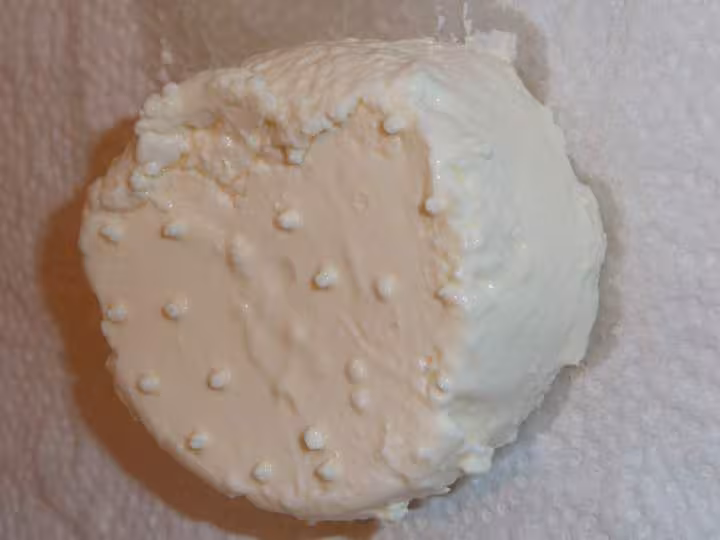 Petit fromage