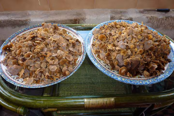 Chanterelles grises