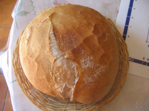 Pain cocotte