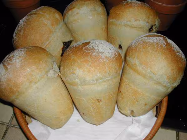 Pains champignons
